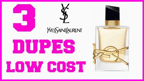 saint laurent dupes and ysl.